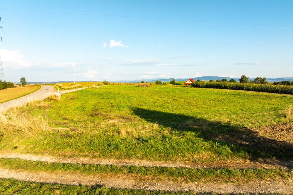 Działka budowlana - Sprzedaż - Ciężkowice, Polska - 20250909-DJI_0321-HDR.jpg - 800241031-43