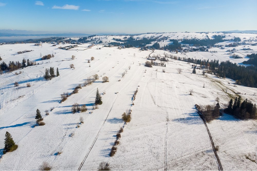 Działka - Sprzedaż - Ratułów, Polska - DJI_0376.jpg - 470151035-149