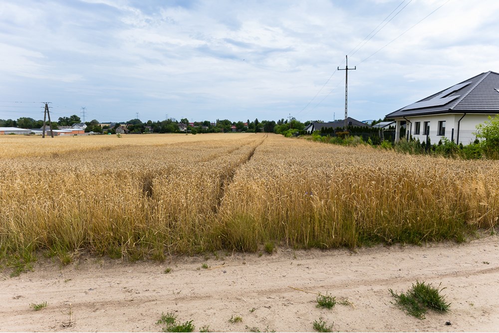 Dom wolnostojący - Sprzedaż - Brzeziny, Polska - dom w Brzezinach-59.jpg - 470291001-146