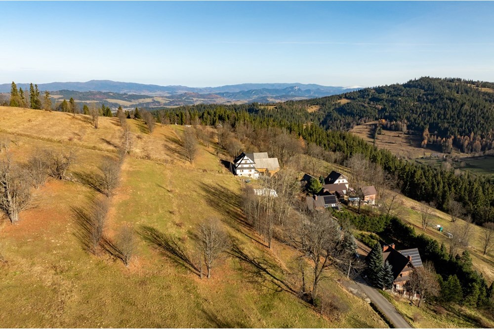 Działka - Sprzedaż - Rzepiska, Polska - 20251114-DJI_0887-HDR.jpg - 800091045-42