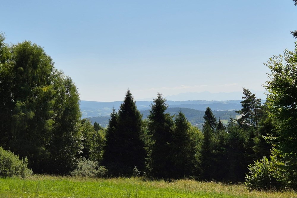 Działka budowlana - Sprzedaż - Naprawa, Polska - biuro nieruchomości (4).jpg - 800091026-80