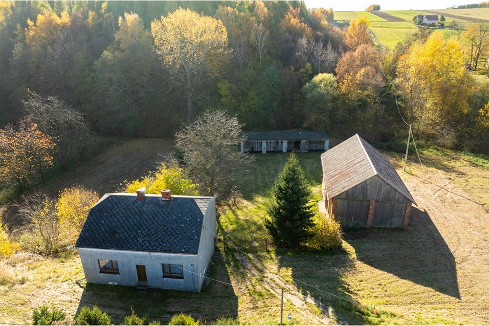 Dom wolnostojący - Sprzedaż - Stoki, Polska - 20251031-DJI_0077-HDR.jpg - 800241032-75