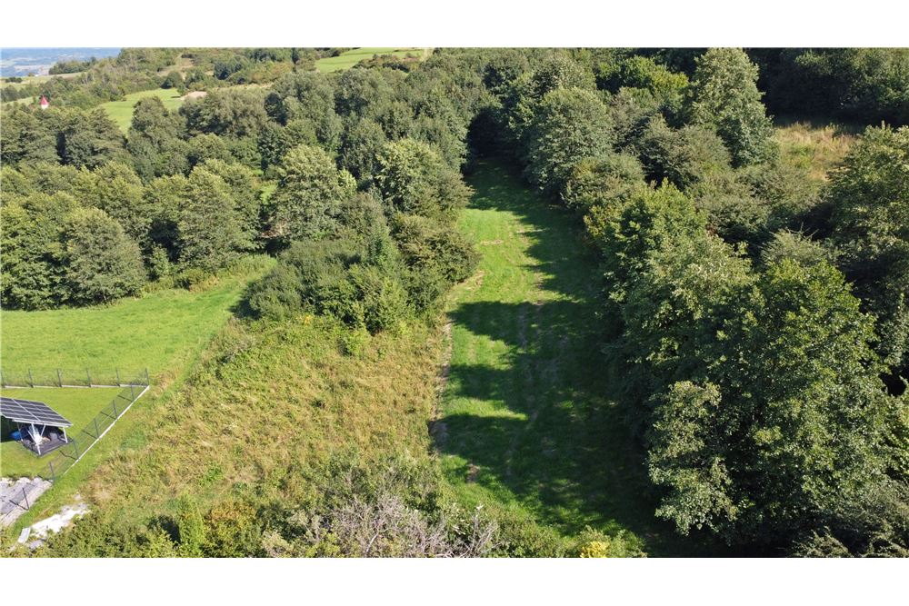 Działka - Sprzedaż - Radziechowy, Polska - 18 - 800061039-516