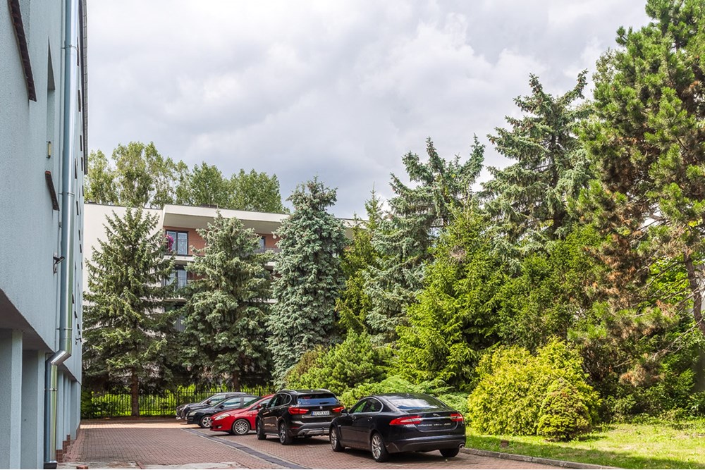 Mieszkanie - Sprzedaż - Łódź, Polska - Mieszkanie-na-sprzedaz-Lodz-Widzew-30.jpg - 470191035-106