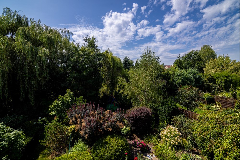 Mieszkanie - Sprzedaż - Józefosław, Polska - widok.jpg - 810291001-9