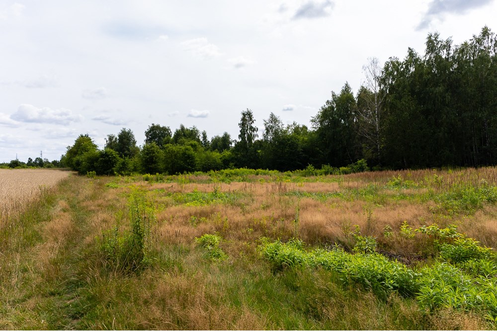 Działka budowlana - Sprzedaż - Łódź, Polska - działki-1.jpg - 470291004-257