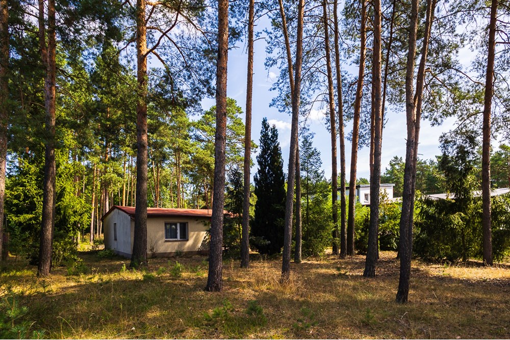 Domek wiejski - Sprzedaż - Człopy, Polska - działka-20.jpg - 470291004-262