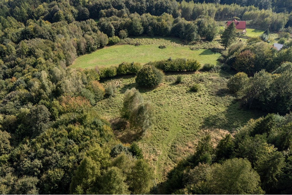 Działka budowlana - Sprzedaż - Międzybrodzie Bialskie, Polska - DJI_0536.jpg - 800061103-193