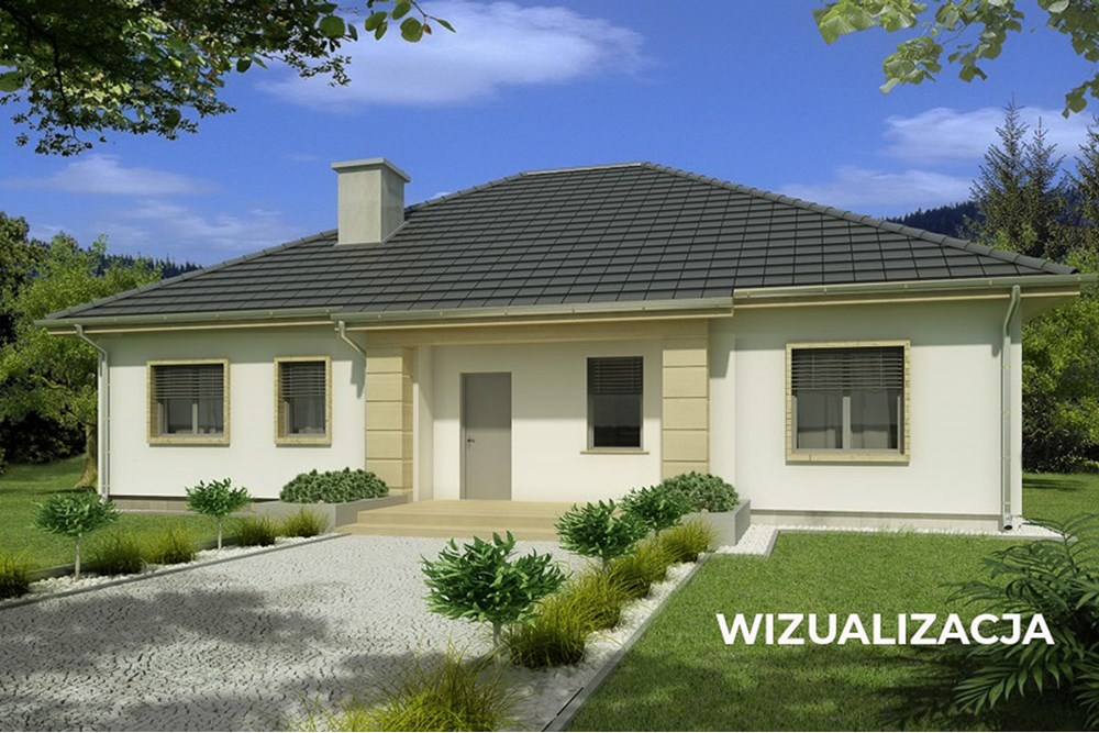 Dom wolnostojący - Sprzedaż - Zgierz, Polska - Dom-w-budowie-na-sprzedaż-Leonow-7.jpg - 470191039-134