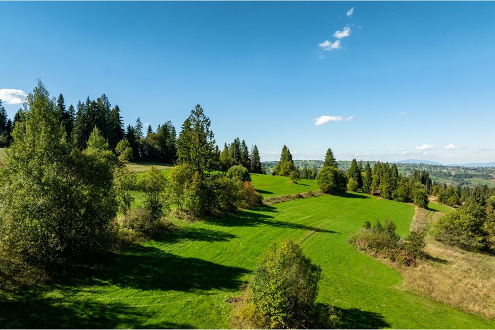 Nieruchomość gruntowa - Sprzedaż - Poronin, Polska - 20250922-DJI_0949-HDR.jpg - 470151039-63