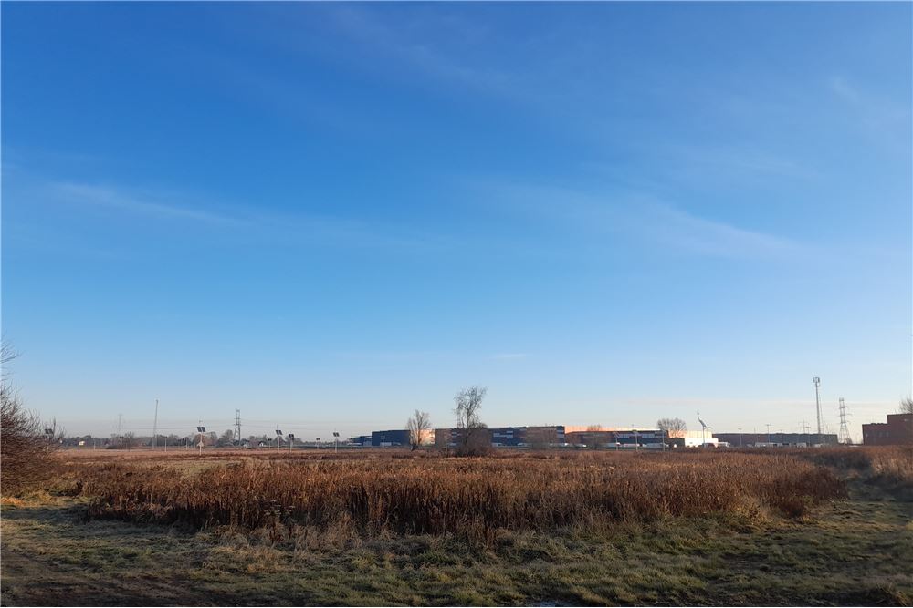 Działka - Sprzedaż - Brzegi, Polska - 6 - 800241031-31