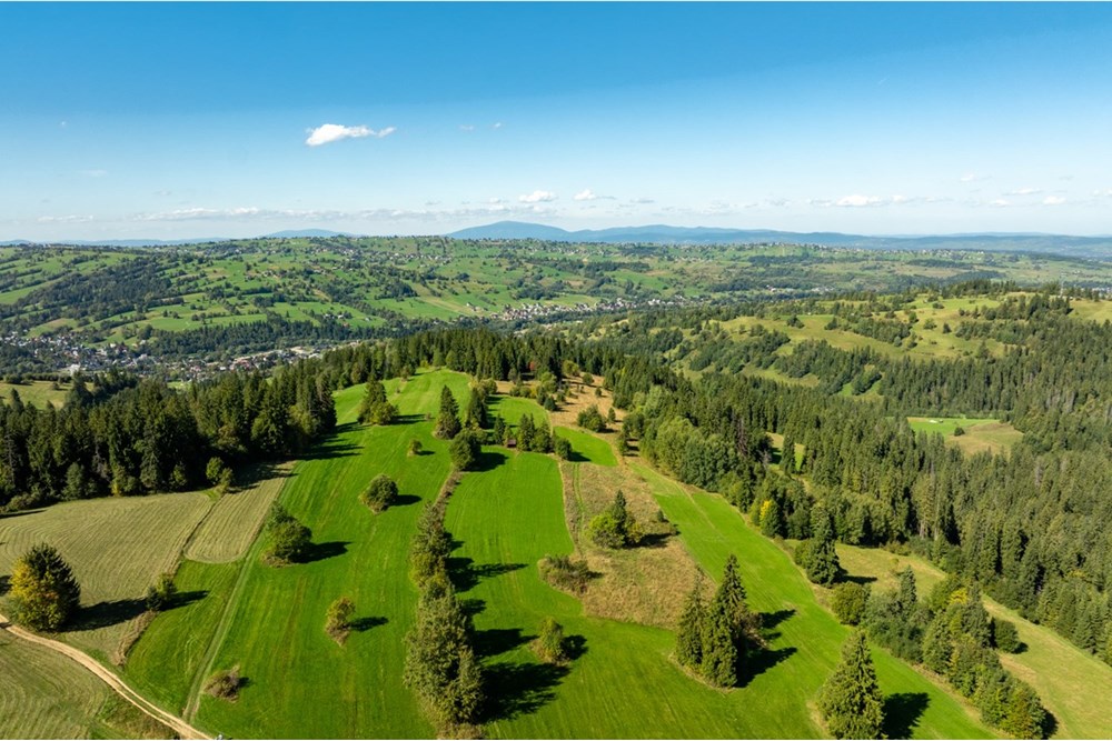 Nieruchomość gruntowa - Sprzedaż - Poronin, Polska - 20250922-DJI_0955-HDR.jpg - 470151039-63