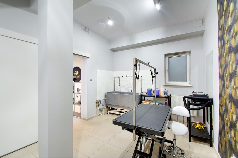 Lokal handlowy/usługowy - Sprzedaż - Kołobrzeg, Polska - DSC_0016.jpg - 790221004-137