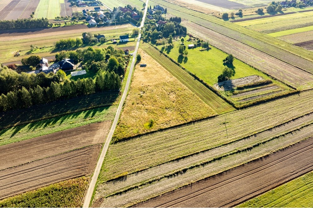 Działka budowlana - Sprzedaż - Skała, Polska - 20250927-DJI_0476-HDR.jpg - 800241031-45