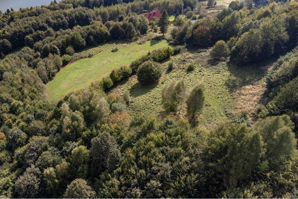 Działka budowlana - Sprzedaż - Międzybrodzie Bialskie, Polska - DJI_0535.jpg - 800061103-193
