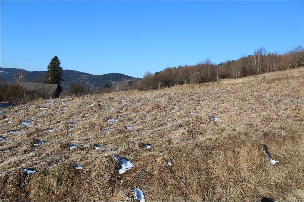 Dom wolnostojący - Sprzedaż - Kurów, Polska - 38 - 800061130-4