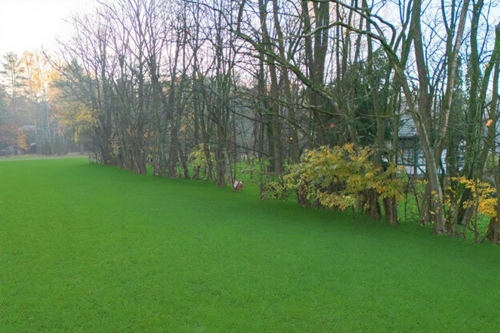 Działka budowlana - Sprzedaż - Ostrowik, Polska - DJI_20251105073426_0041_D.jpg - 810131026-128