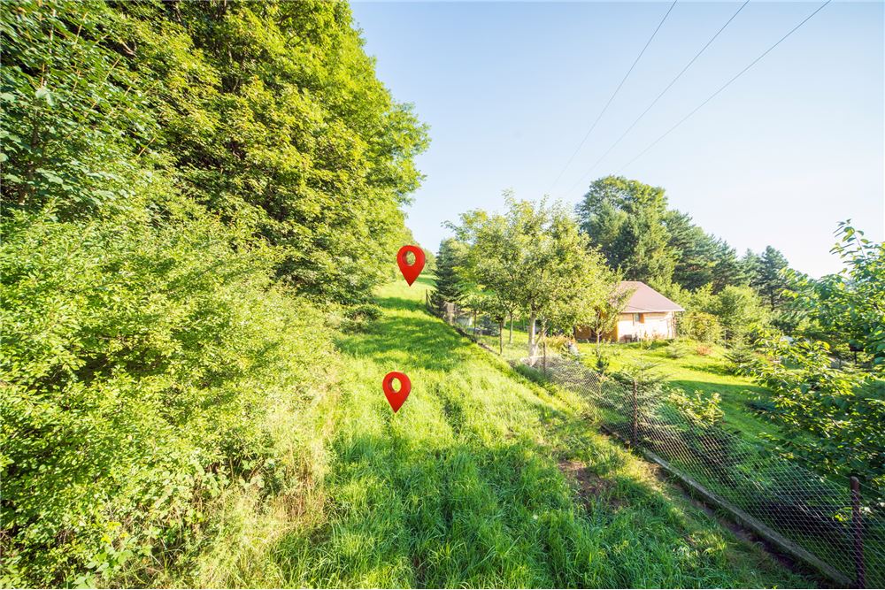 Działka - Sprzedaż - Godziszka, Polska - 6 - 800061116-19