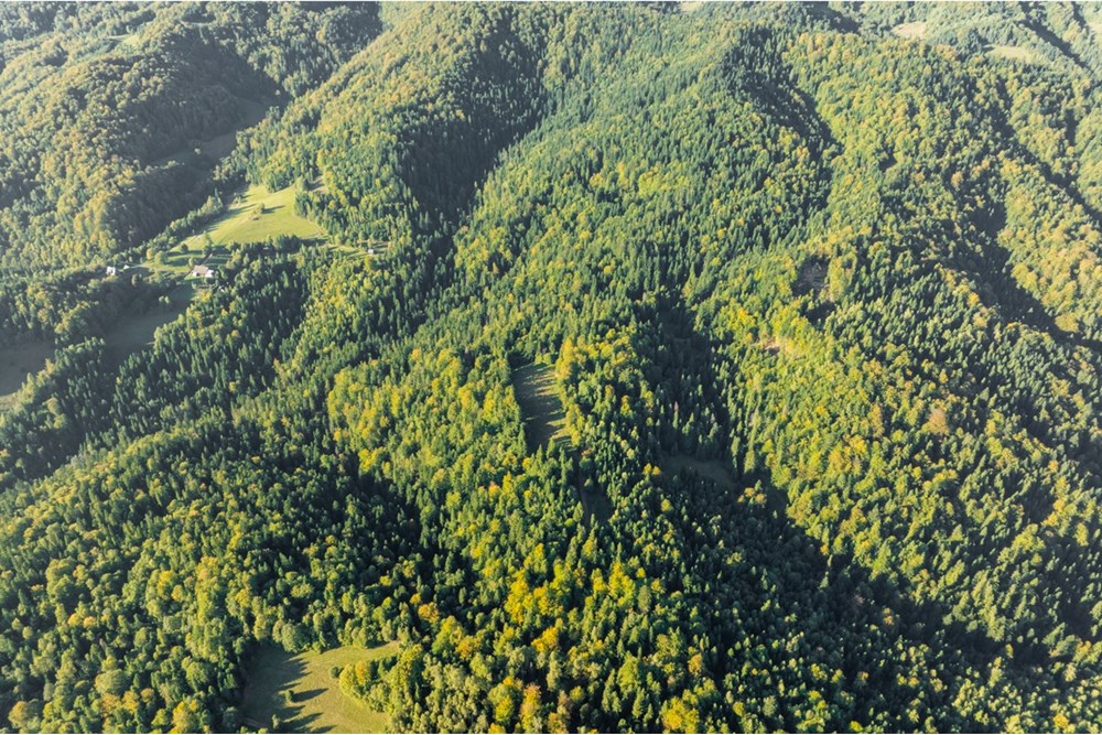 Działka - Sprzedaż - Harklowa, Polska - 20251004-DJI_0186-HDR.jpg - 470151024-458