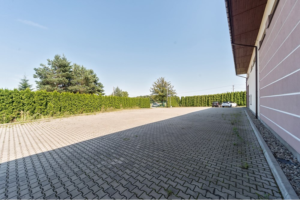 Hala - Sprzedaż - Czaniec, Polska - CG15_044D.jpg - 800061100-89