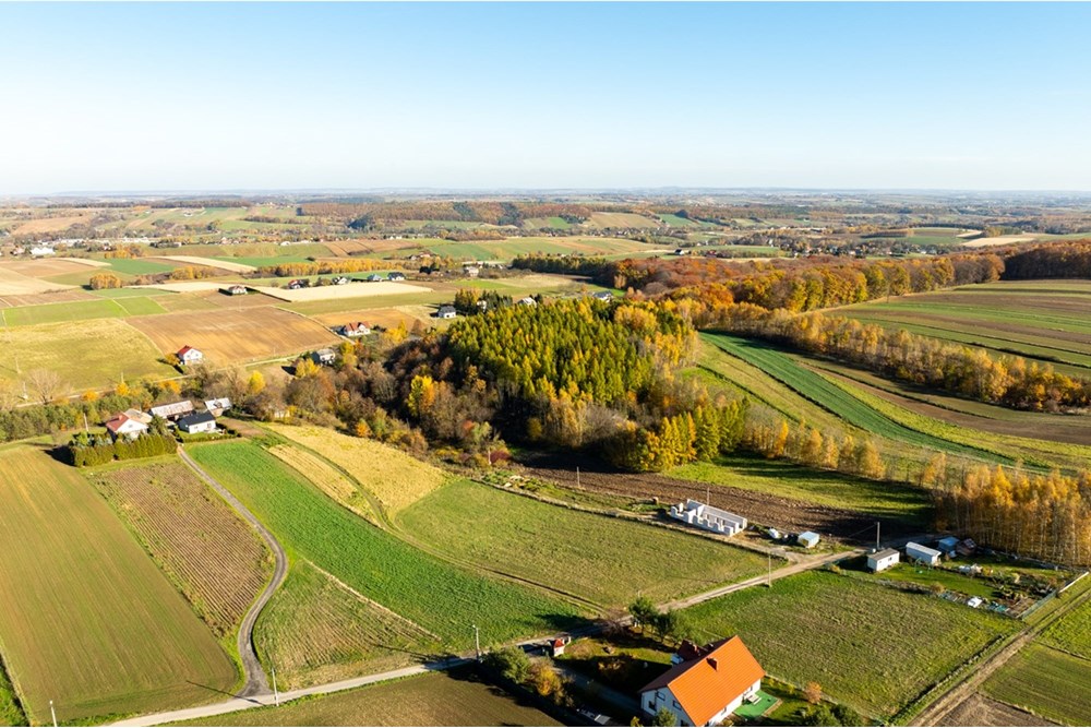 Działka - Sprzedaż - Stoki, Polska - 20251031-DJI_0136-HDR.jpg - 800241032-77
