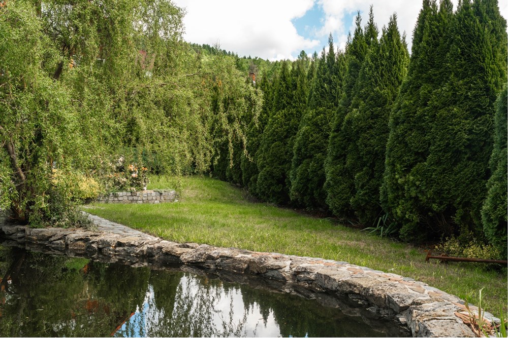 Rezydencja/Willa/Dworek - Sprzedaż - Ponikiew, Polska - IMG_1310.jpeg - 800061126-8