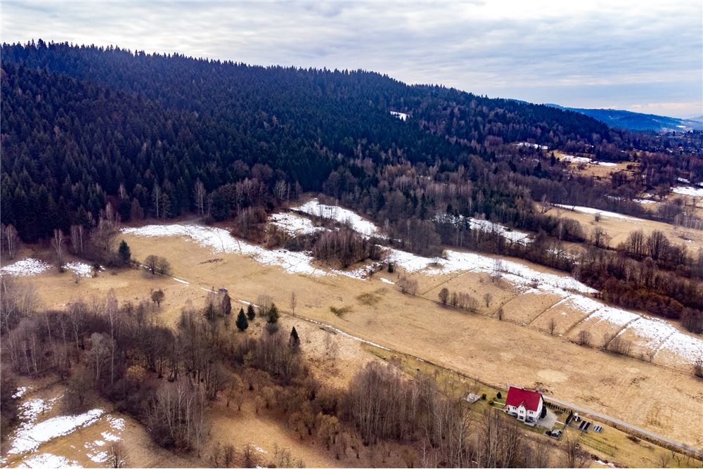 Działka budowlana - Sprzedaż - Las, Polska - 4 - 800061103-198