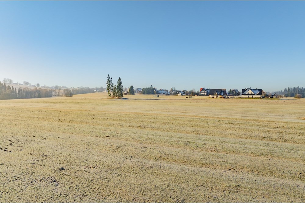 Działka - Sprzedaż - Maruszyna, Polska - 20251119-DJI_0452-HDR.jpg - 800091009-306