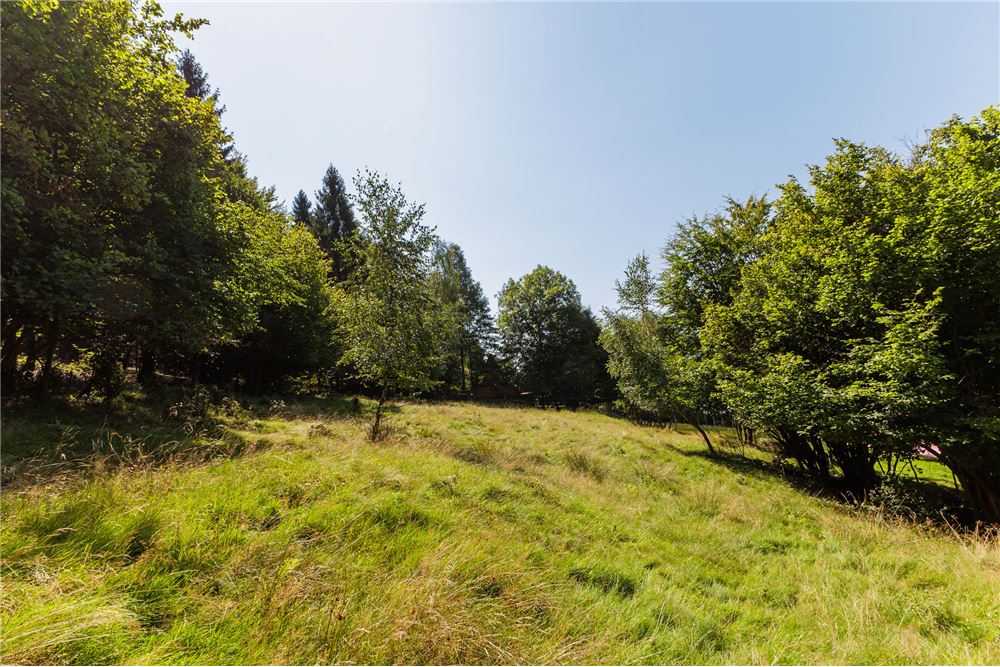 Działka - Sprzedaż - Międzybrodzie Żywieckie, Polska - 4 - 800061107-105