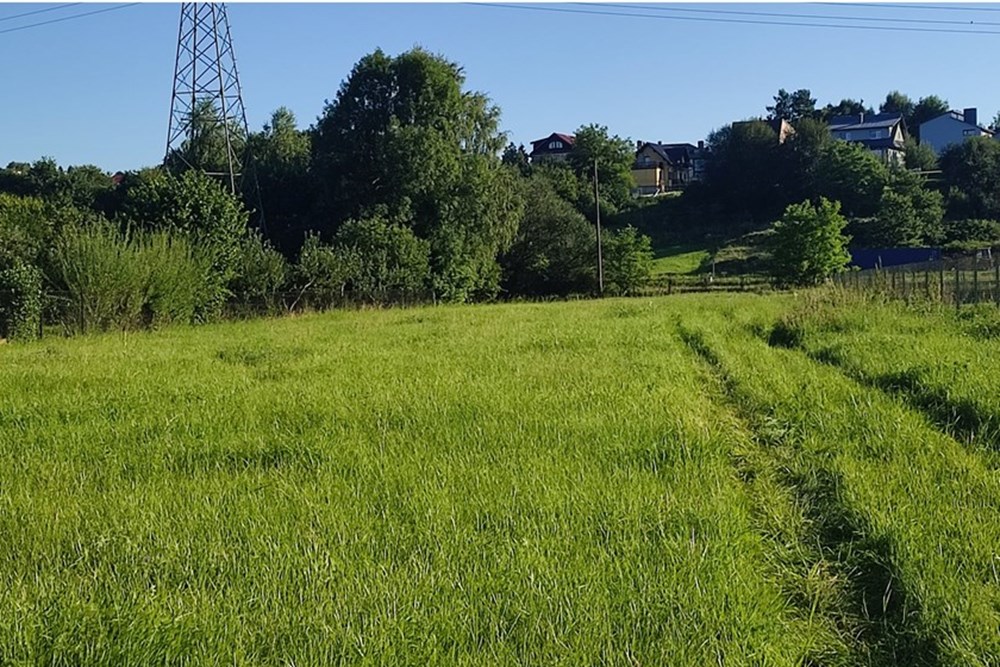 Działka budowlana - Sprzedaż - Pietrzykowice, Polska - IMG_20250812_180150.jpg - 800061133-8