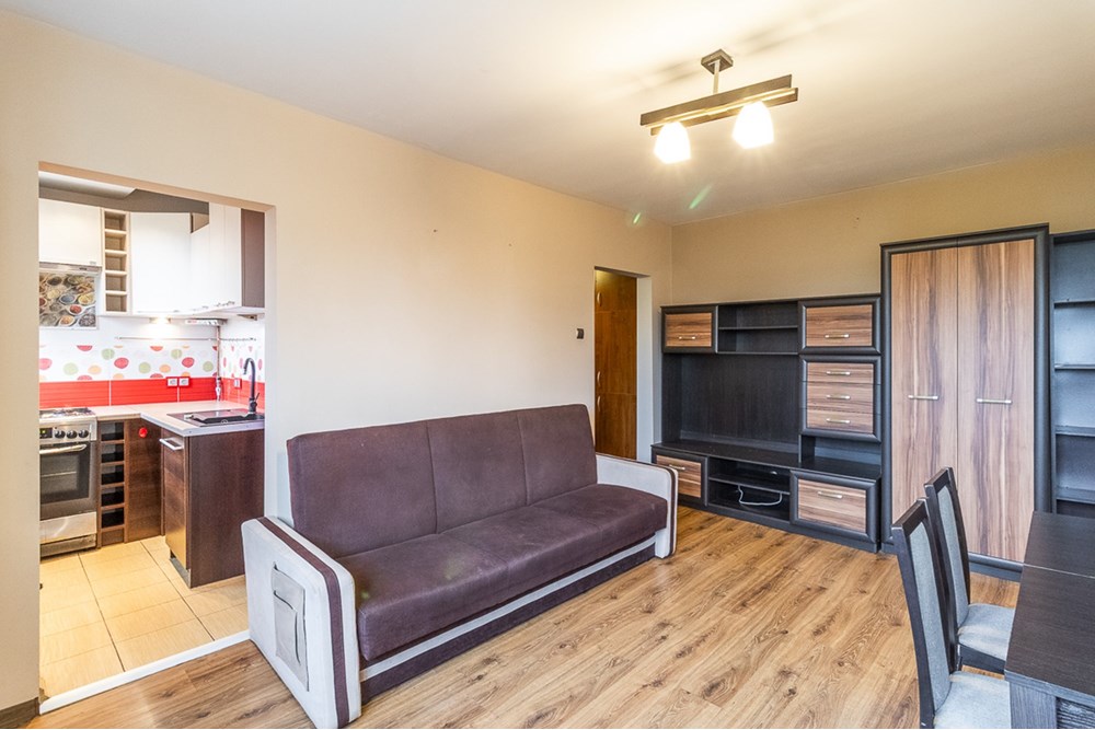 Mieszkanie - Sprzedaż - Łódź, Polska - Mieszkanie-na-sprzedaz-Lodz-5.jpg - 470191057-42