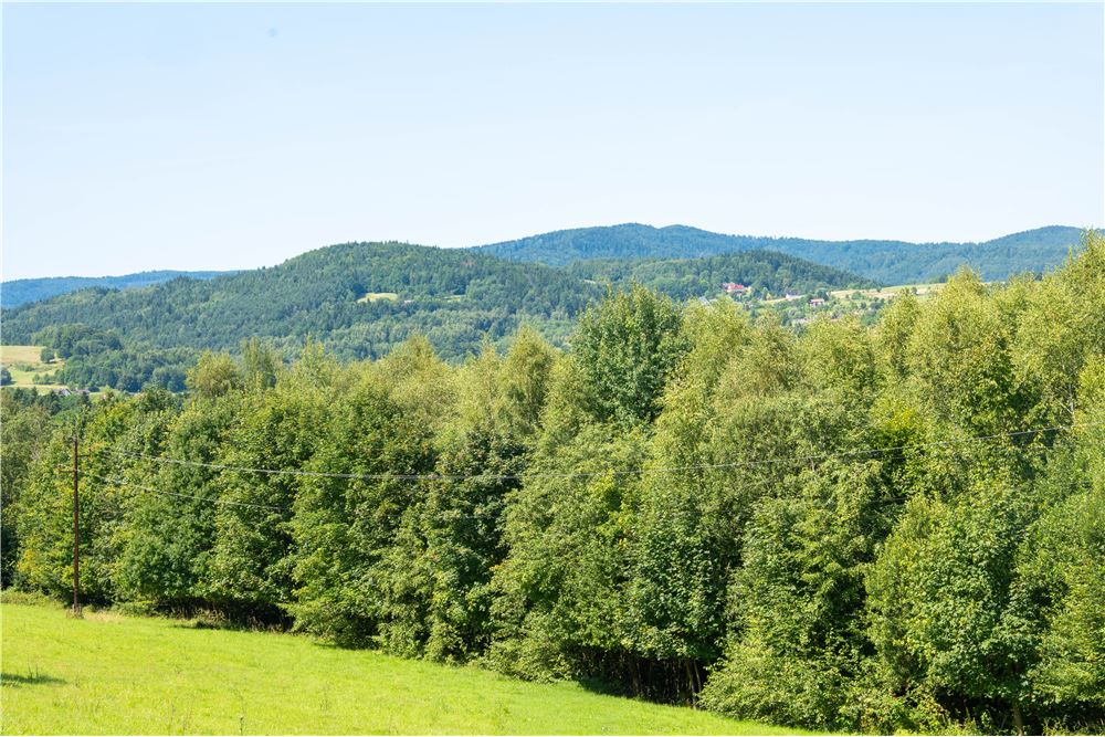 Działka - Sprzedaż - Tarnawa Dolna, Polska - 51 - 800061116-22