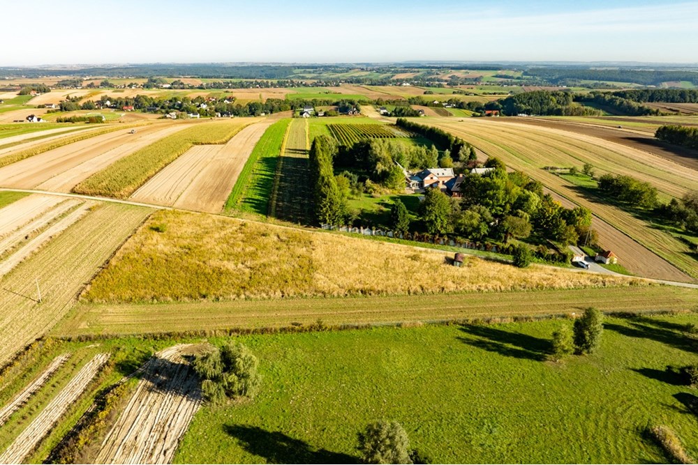 Działka budowlana - Sprzedaż - Skała, Polska - 20250927-DJI_0488-HDR.jpg - 800241031-45