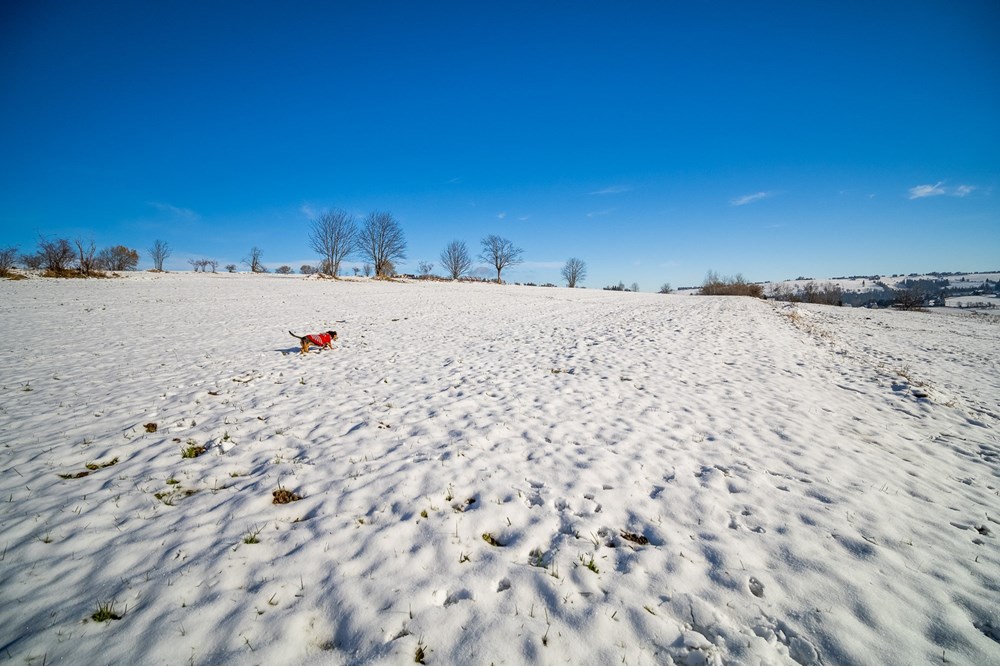 Działka - Sprzedaż - Ratułów, Polska - PB130009.jpg - 470151035-149