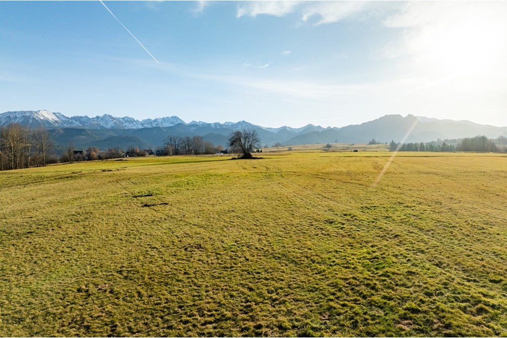 Działka - Sprzedaż - Zakopane, Polska - agent nieruchomosci (7).jpg - 800091026-89