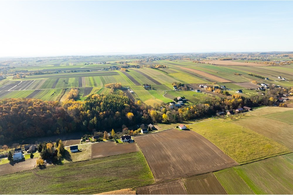Działka budowlana - Sprzedaż - Stoki, Polska - 20251031-DJI_0020-HDR.jpg - 800241032-76