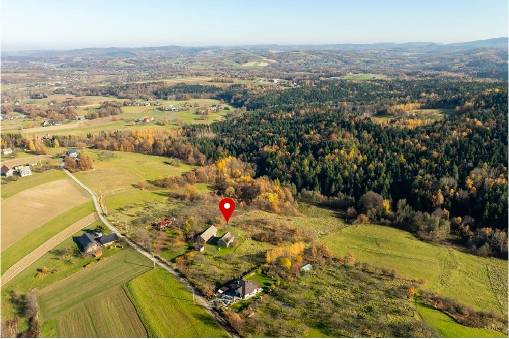 Dom wolnostojący - Sprzedaż - Krasne-Lasocice, Polska - 3.jpg - 800241017-143