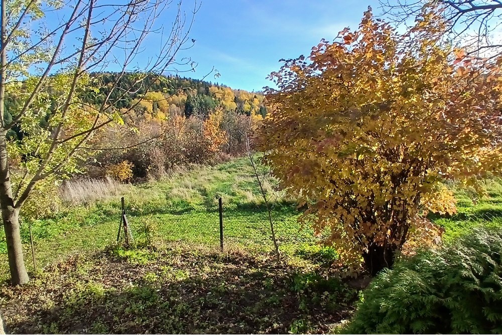 Dom wolnostojący - Sprzedaż - Krasne-Lasocice, Polska - 20251031_133602.jpg - 800241017-143