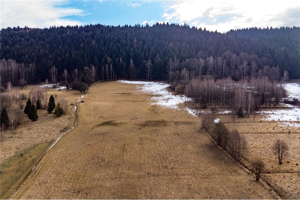 Działka budowlana - Sprzedaż - Las, Polska - 16 - 800061103-198