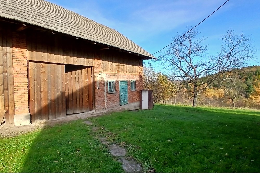 Dom wolnostojący - Sprzedaż - Krasne-Lasocice, Polska - 20251031_133716.jpg - 800241017-143