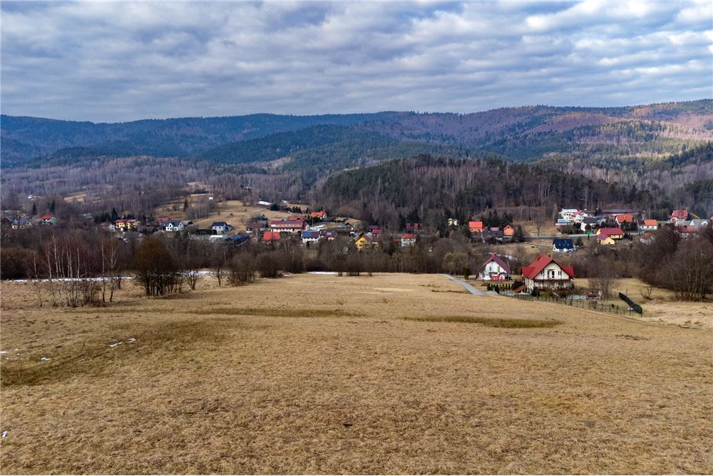 Działka budowlana - Sprzedaż - Las, Polska - 2 - 800061103-198