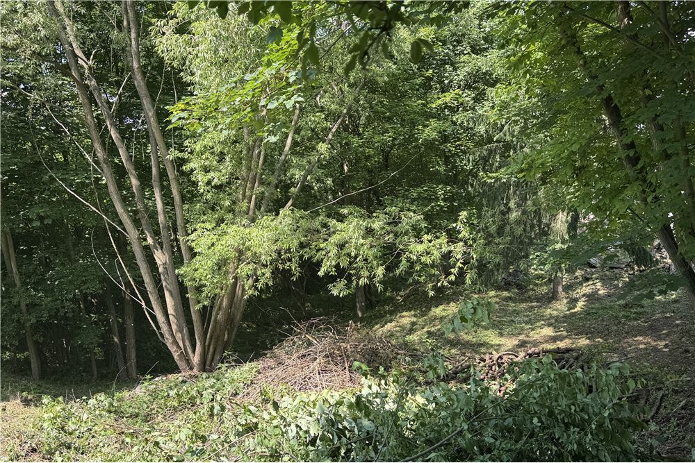 Działka budowlana - Sprzedaż - Chocznia, Polska - 22 - 800061100-85