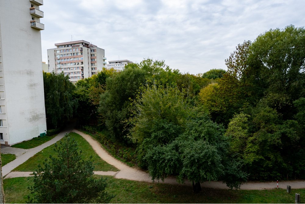 Mieszkanie - Wynajem - Warszawa, Polska - DAW04403.jpg - 810131026-122