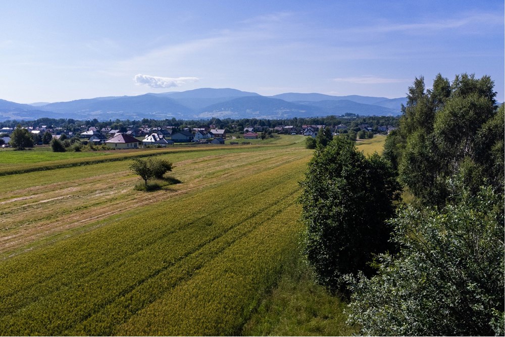 Działka budowlana - Sprzedaż - Lipowa, Polska - Działka_lipowa-9.jpg - 800061116-16