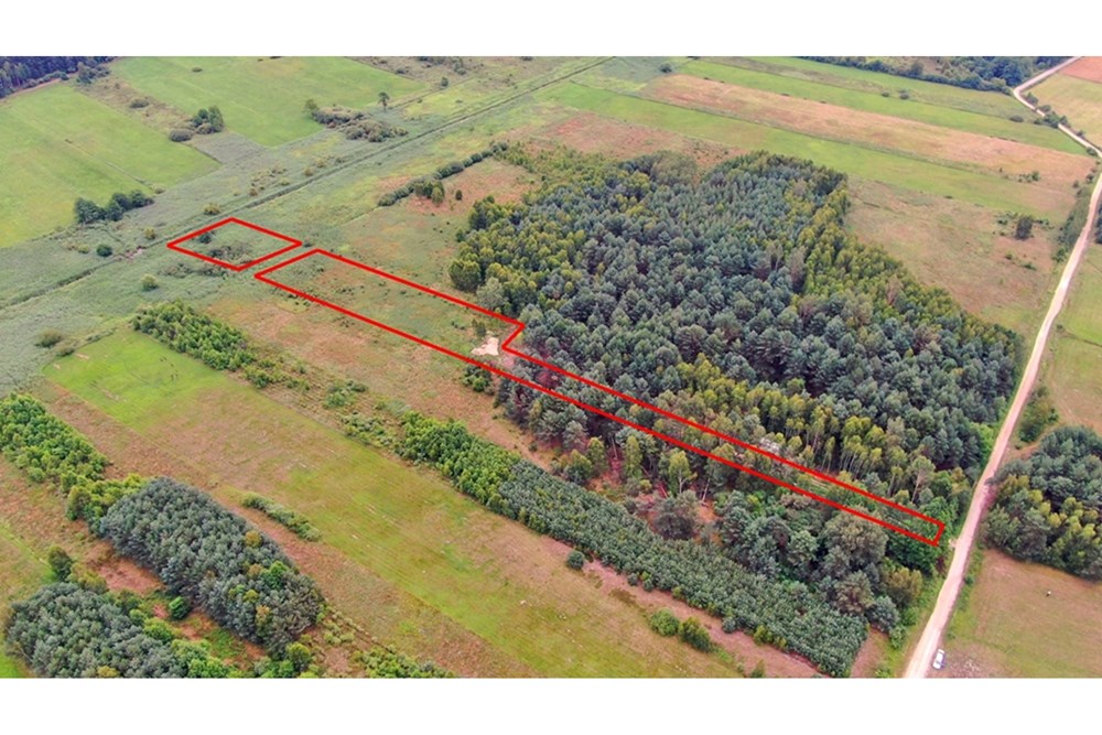 Nieruchomość gruntowa - Sprzedaż - Rudniki-Kolonia, Polska - Koniecpol (7).jpg - 800041074-18