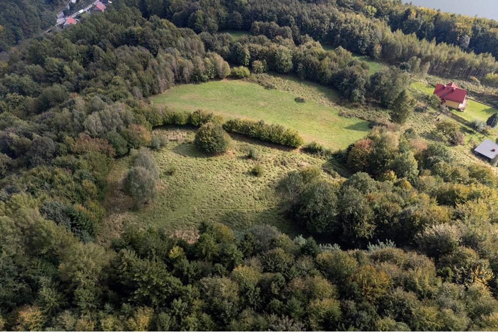 Działka budowlana - Sprzedaż - Międzybrodzie Bialskie, Polska - DJI_0504.jpg - 800061103-193