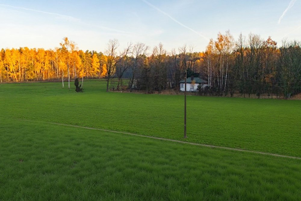 Działka budowlana - Sprzedaż - Ostrowik, Polska - DJI_20251105073622_0050_D.jpg - 810131026-128