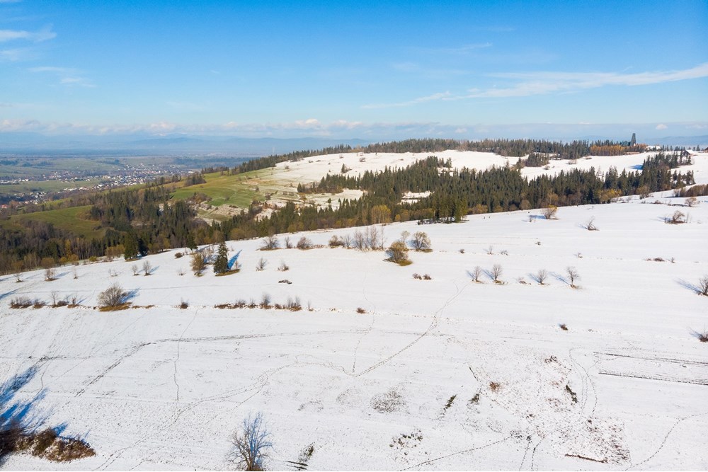 Działka - Sprzedaż - Ratułów, Polska - DJI_0398.jpg - 470151035-149