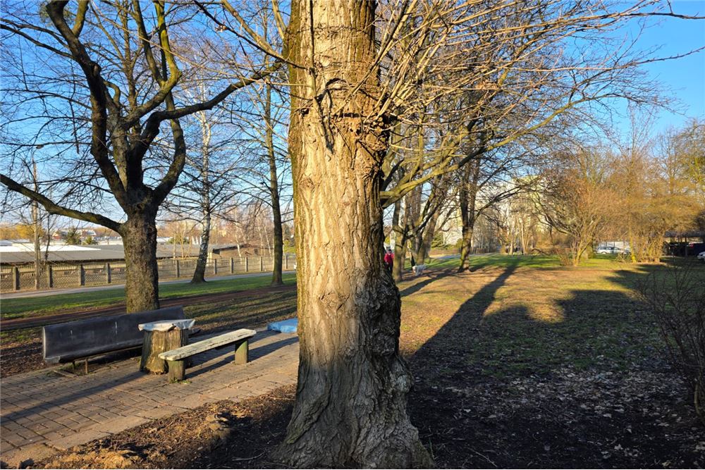 Mieszkanie - Sprzedaż - Zabrze, Polska - 34 - 800061016-1279