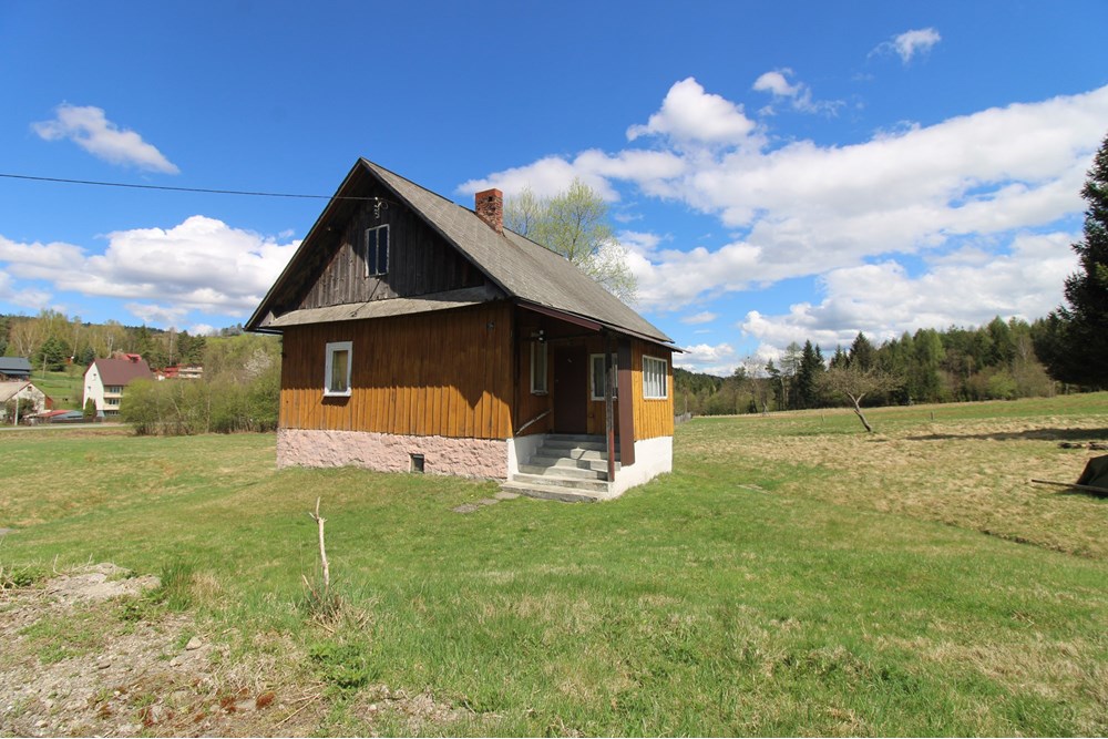 Dom wolnostojący - Sprzedaż - Kurów, Polska - IMG_0432.JPG - 800061130-17